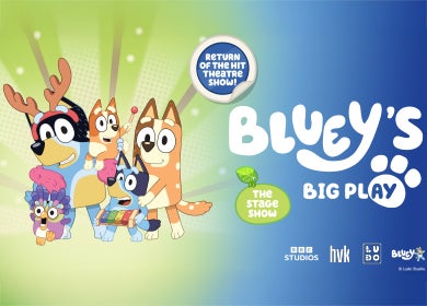More Info for Bluey's Big Play