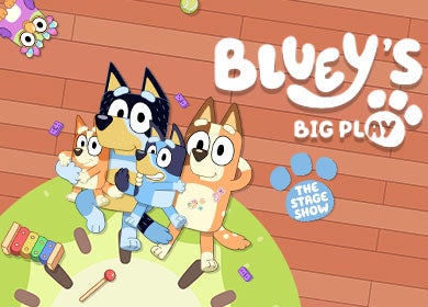 More Info for Bluey's Big Play