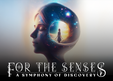 More Info for For The Senses: A Symphony of Discovery